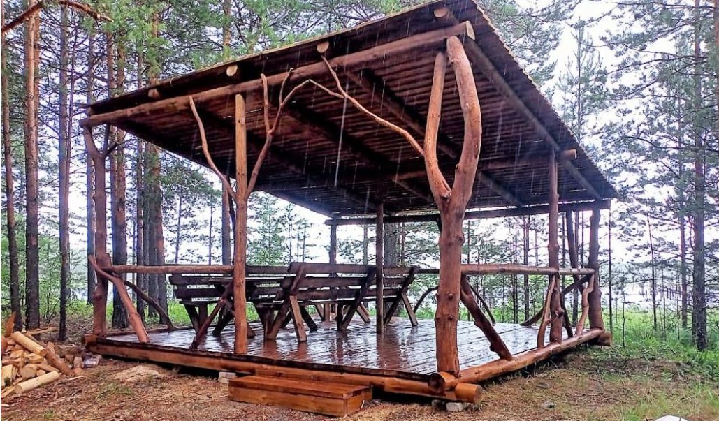 Во Владимирской области подвели итоги конкурса на лучшее место отдыха в лесу