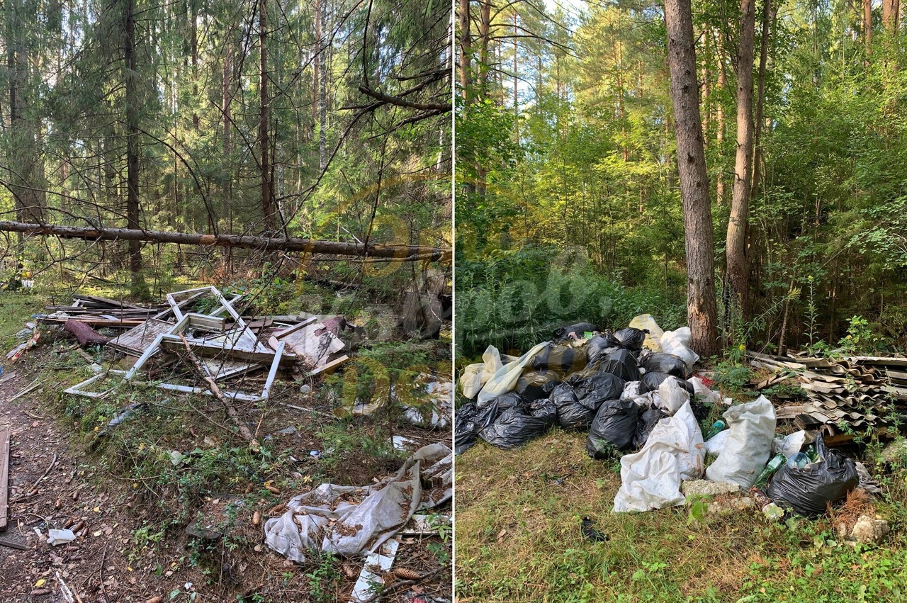 В лесу под Ковровом обнаружили крупную свалку
