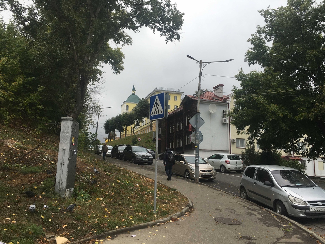 Синоптики раскрыли, когда во Владимирскую область придут первые заморозки
