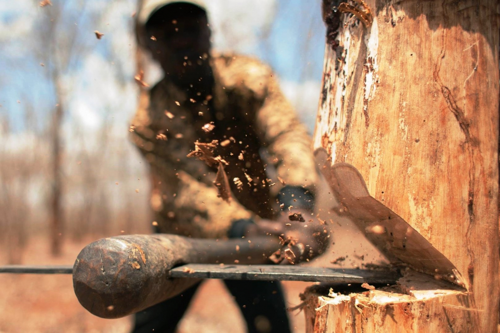 "Чёрный лесоруб" во Владимирской области нарубил дров более, чем на миллион рублей