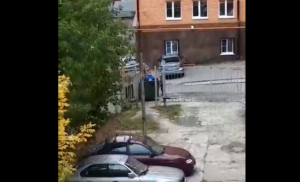 Во Владимире на Ново-Ямской в мусорном контейнере обнаружены дети