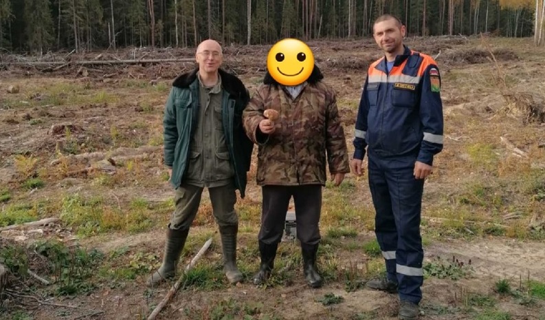 В ковровских лесах 2 дня подряд искали потерявшихся грибников