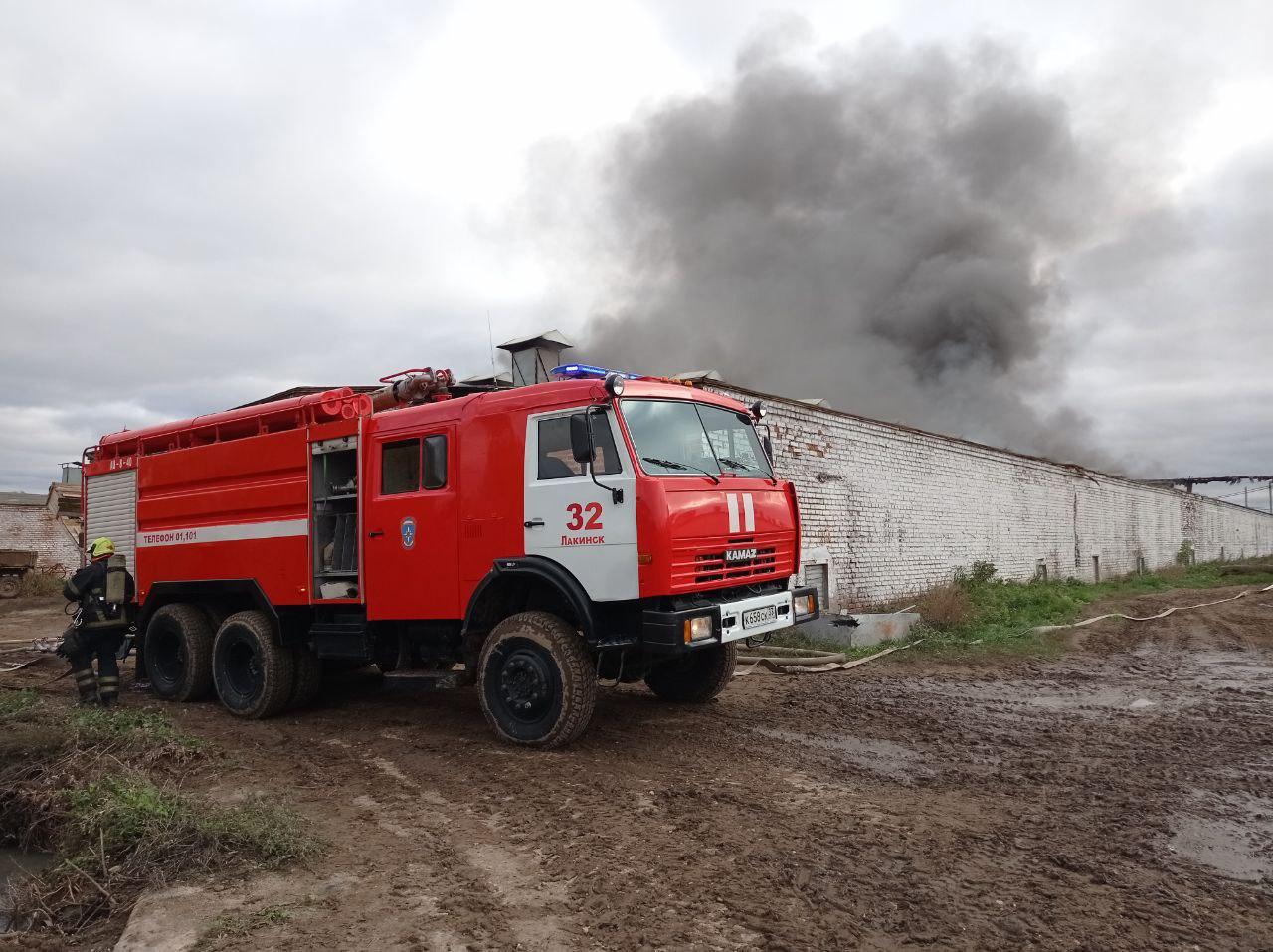 От крупного пожара под Собинкой пострадала птицефабрика