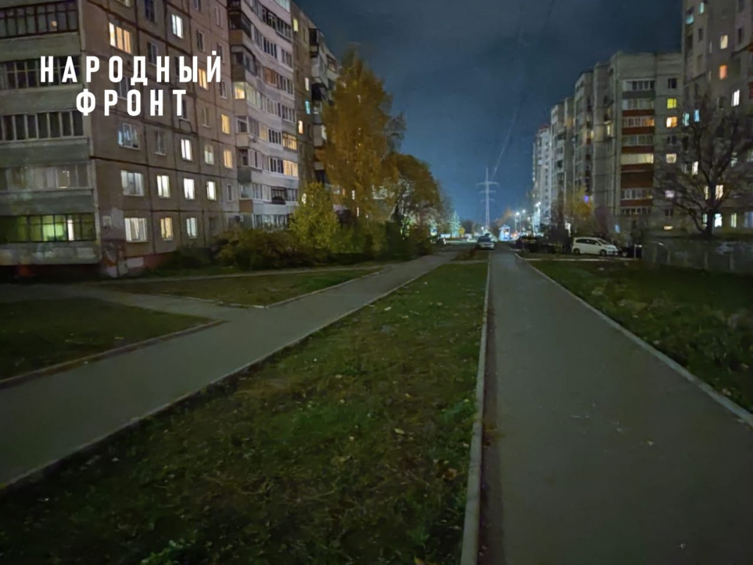 Эксперты ОНФ добиваются обустройства освещения дорог к школам и детсадам во Владимире