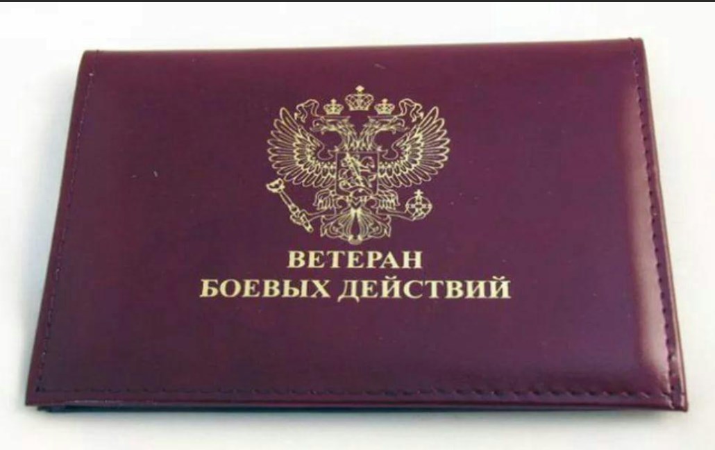 Добровольцы Владимирской области получат статус ветерана наравне с мобилизованными