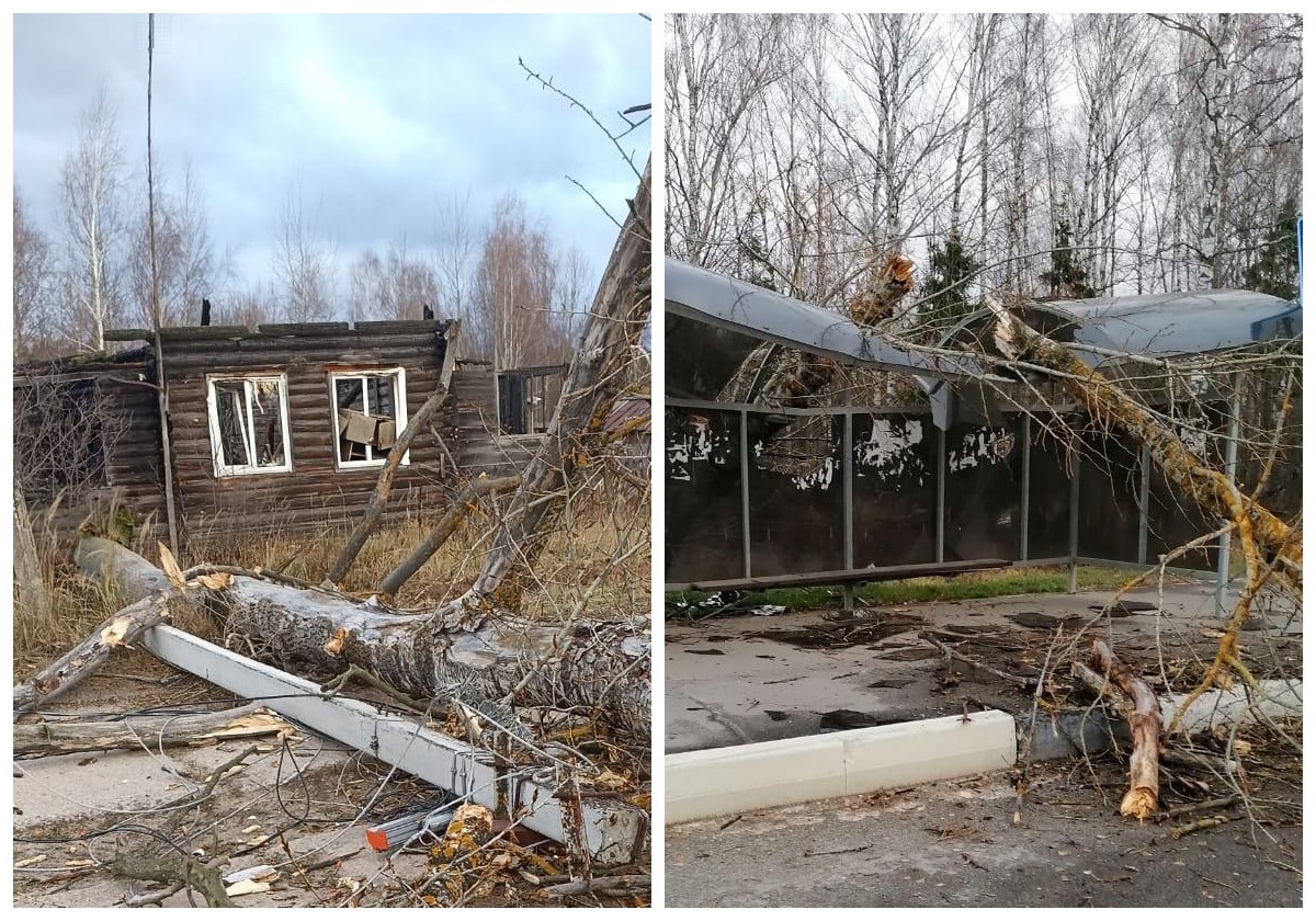 Во Владимирской области 42 бригады энергетиков устраняют последствия штурмового ветра