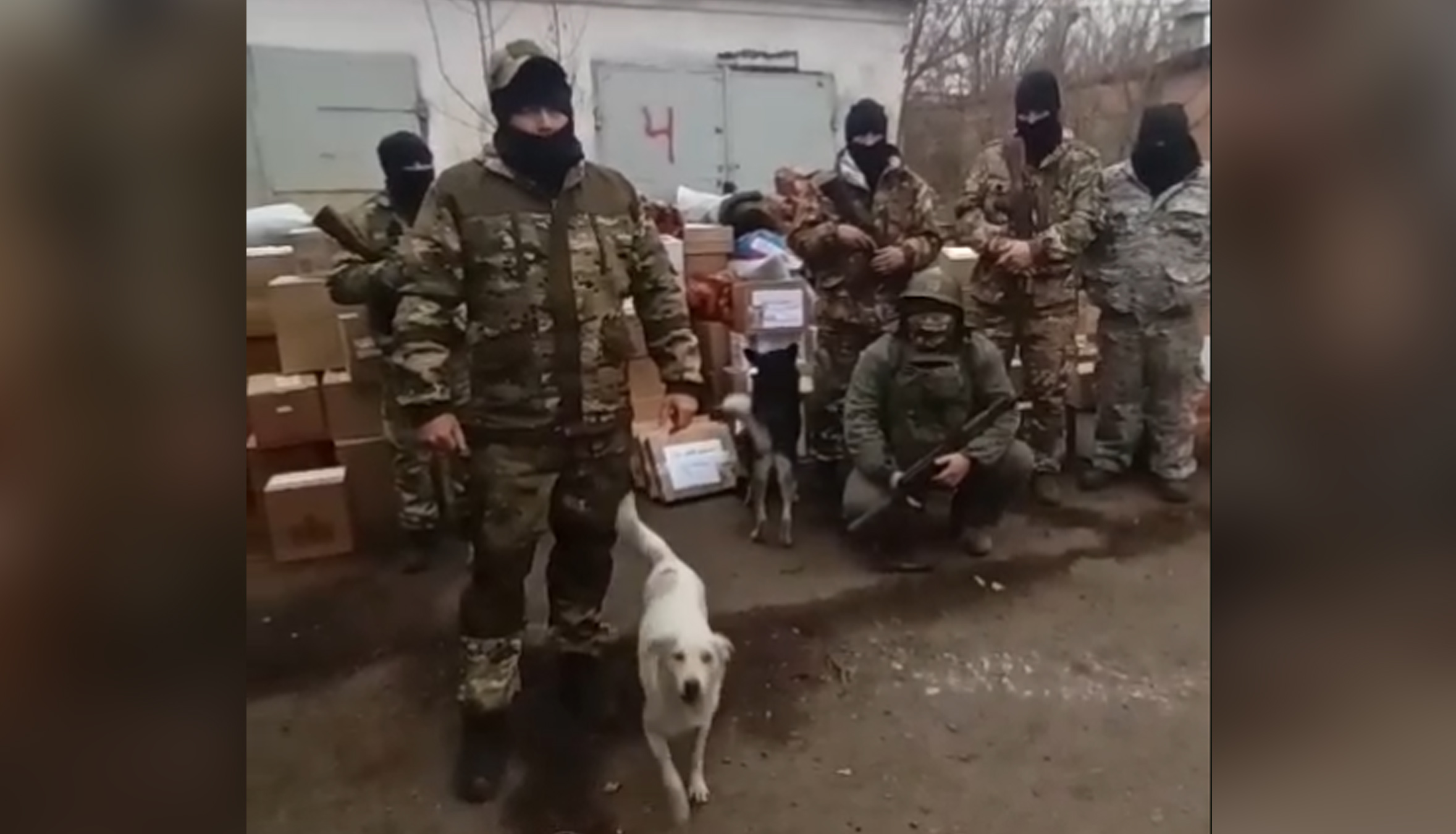 Раненный четвероногий друг нашего земляка продолжает ездить с солдатами в зону боев