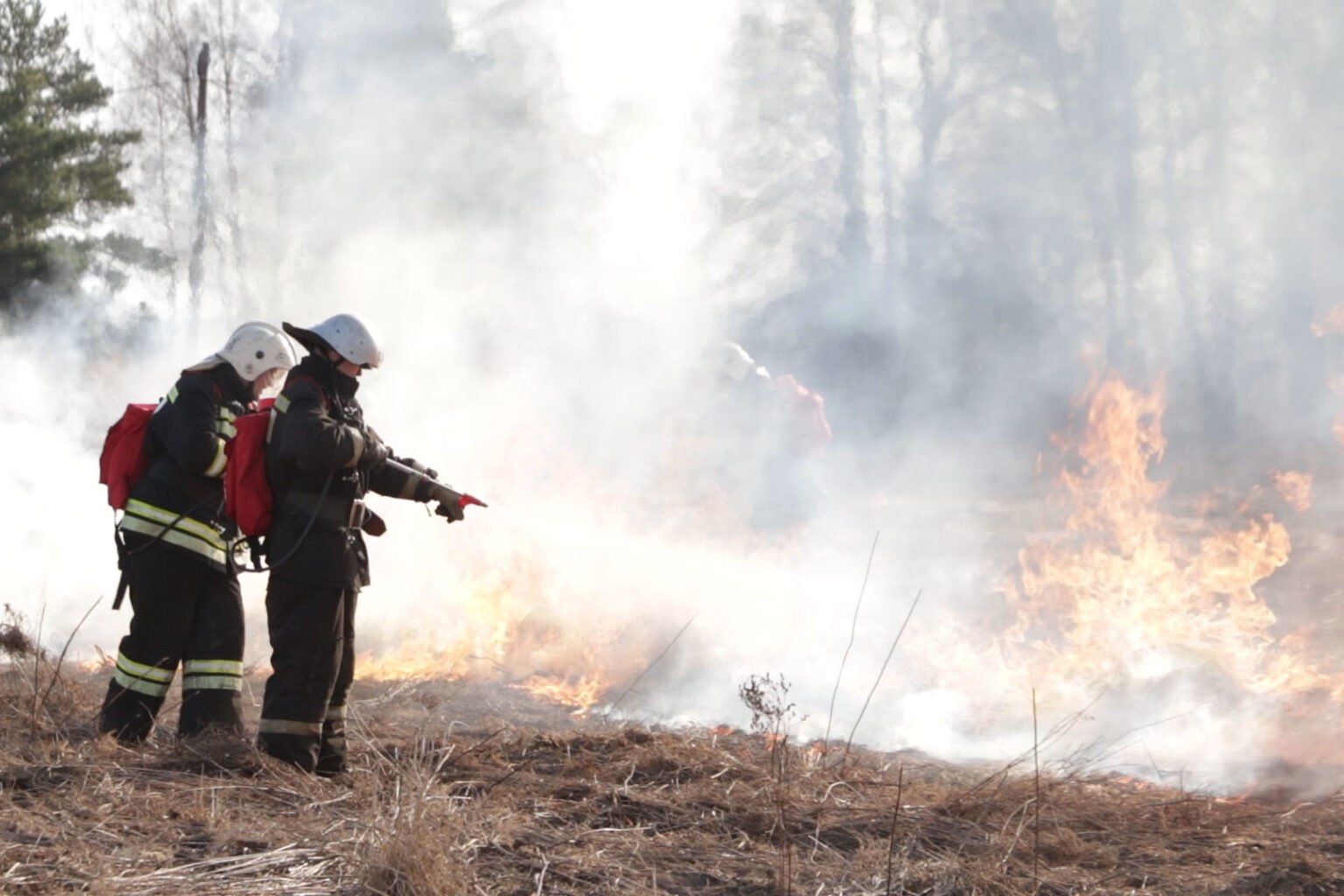 В рейтинге тушения лесных пожаров Владимирская область вошла в топ-5 регионов