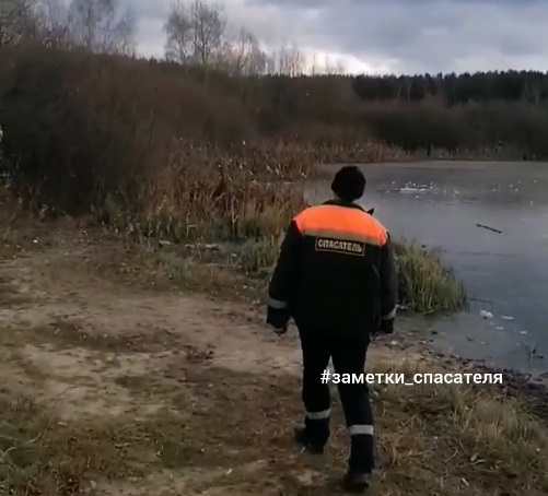 Во Владимирской области на тонкий лед уже начали выходить любопытные дети