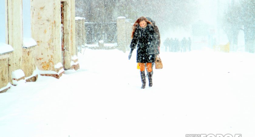 Жителей Владимирской области предупредили о сильном снегопаде и гололедице