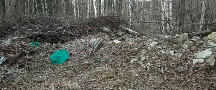 Чиновники Гусь-Хрустального района замаскировали крупную свалку песком