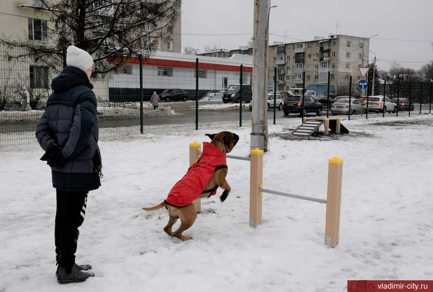 Во Владимире обворовали новую площадку для собак