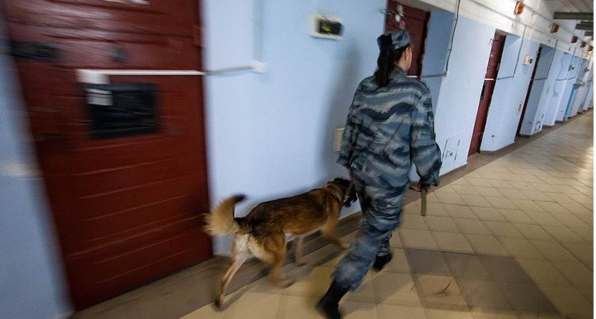 Одному из похитивших у ВлГУ крупную сумму денег продлили арест