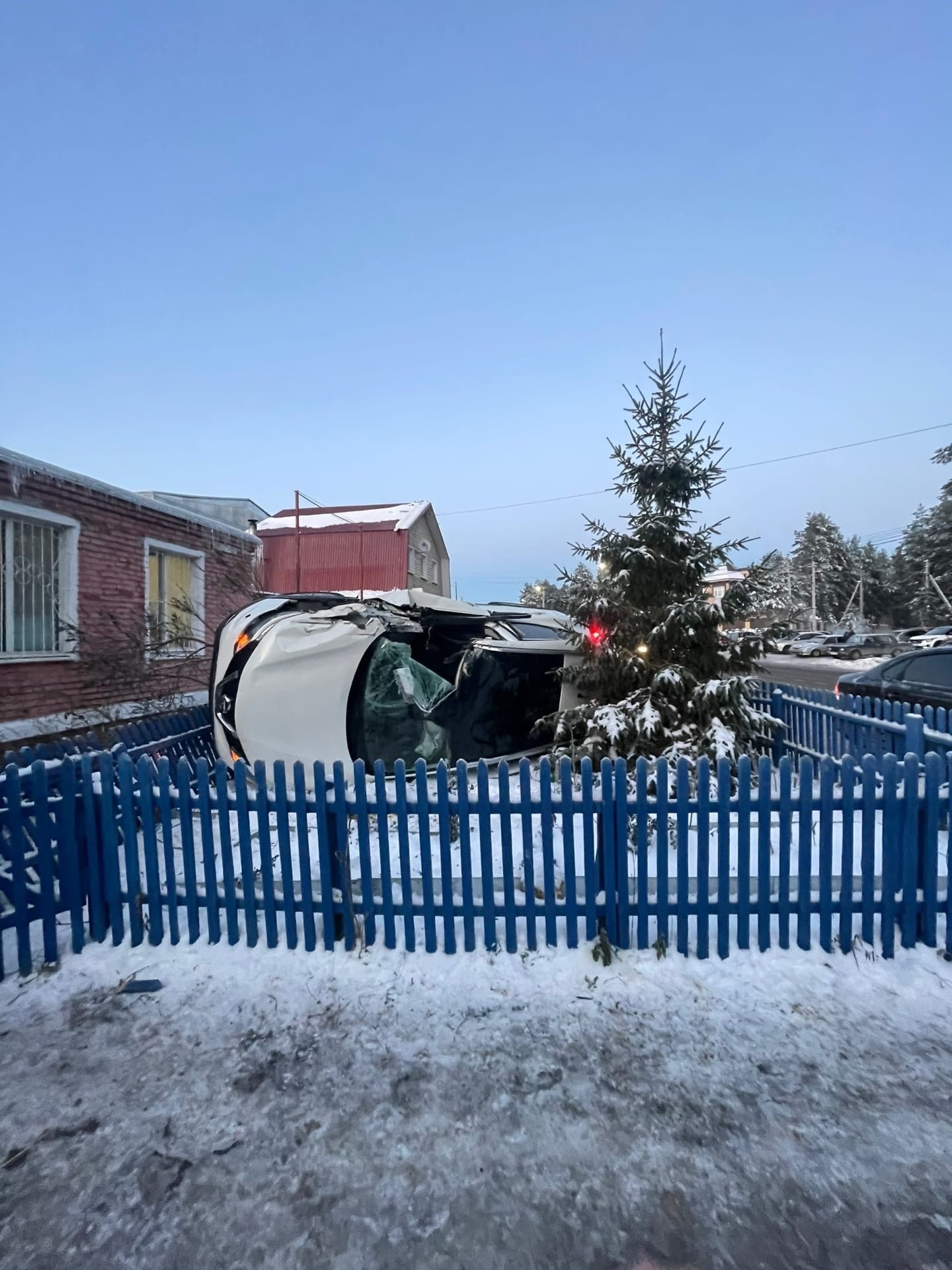 Во Владимире автомобиль проломил забор приюта для животных
