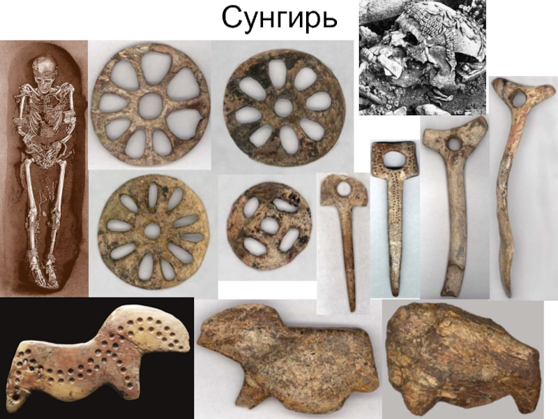 Во Владимирской области известность Сунгирской стоянки поднимут на новый уровень