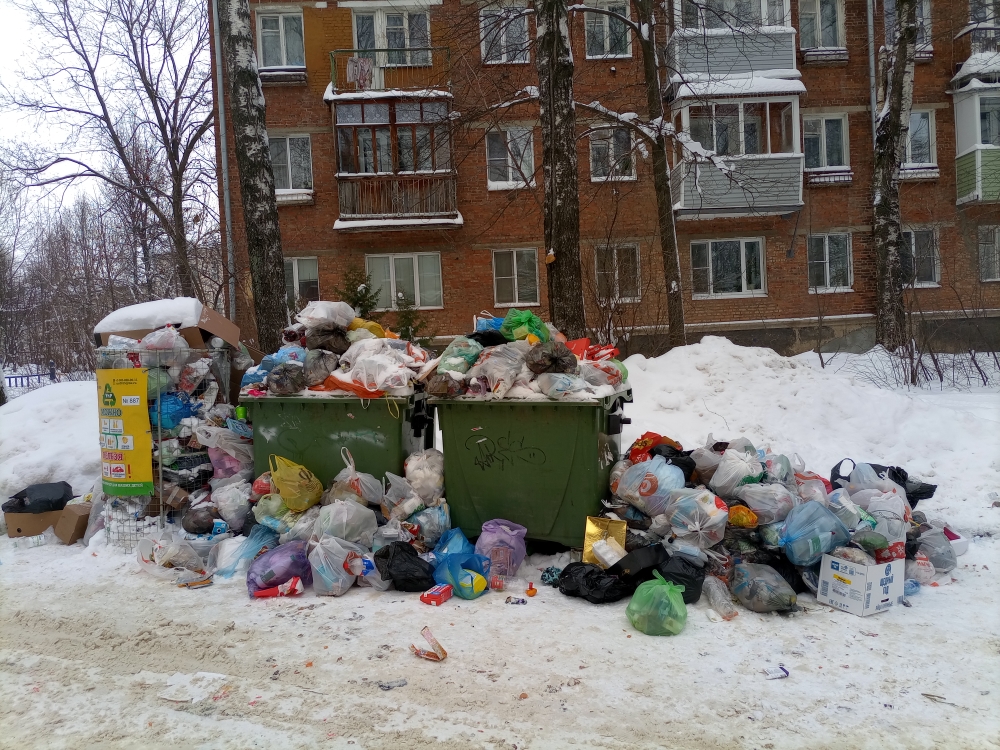 Во Владимирской области прокуратура выявила более 500 нарушений в сфере вывоза отходов