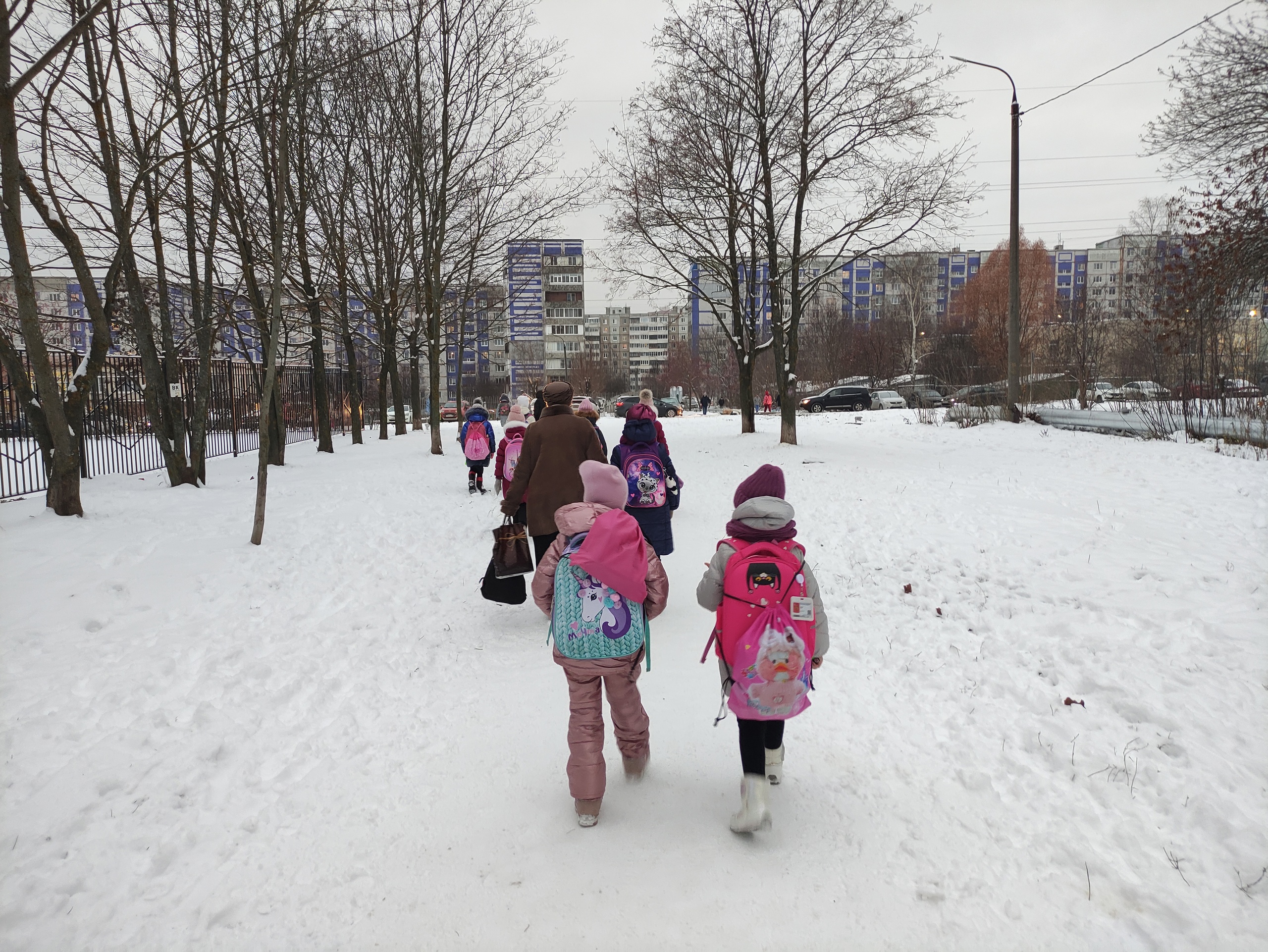 Во Владимирской области начали говорить о переводе учащихся на дистанционку из-за морозов