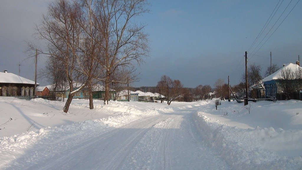 На трассе во Владимирской области в аномальные морозы застряли 2 автобуса с пассажирами