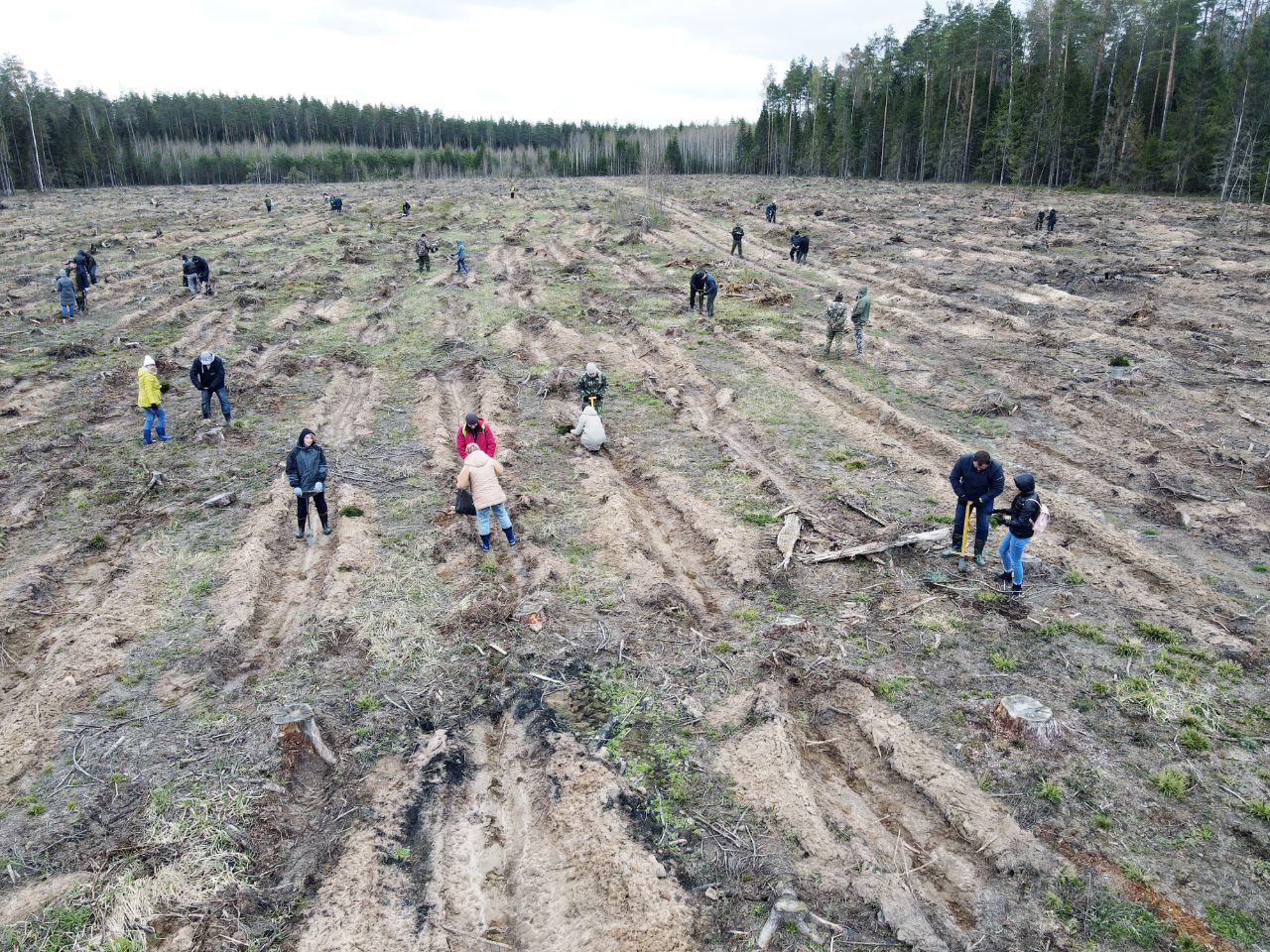 В Волго-Вятском банке Сбербанка подвели итоги ESG-проектов 2022 года