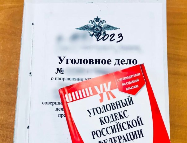 Обвиненный в краже житель Владимирской области вырвал документы из уголовного дела