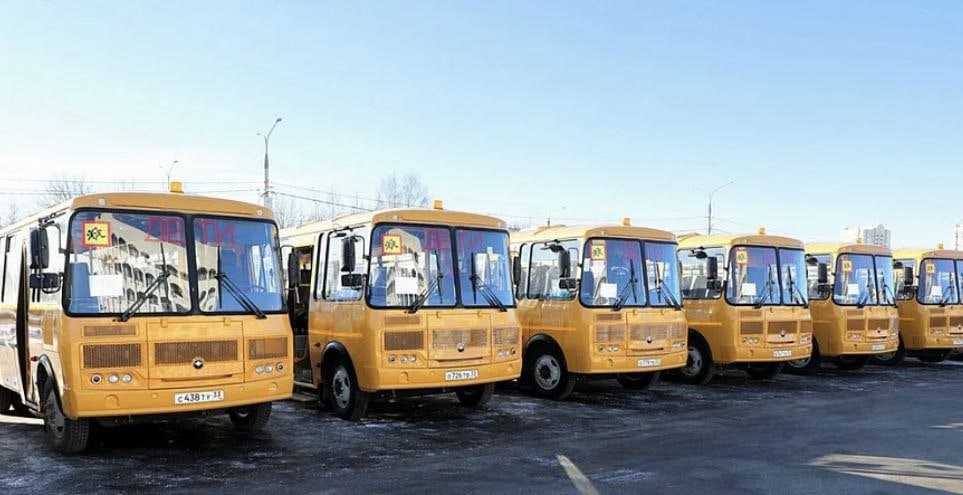 Во Владимирской области школьные автобусы смогут бесплатно ездить по М-12