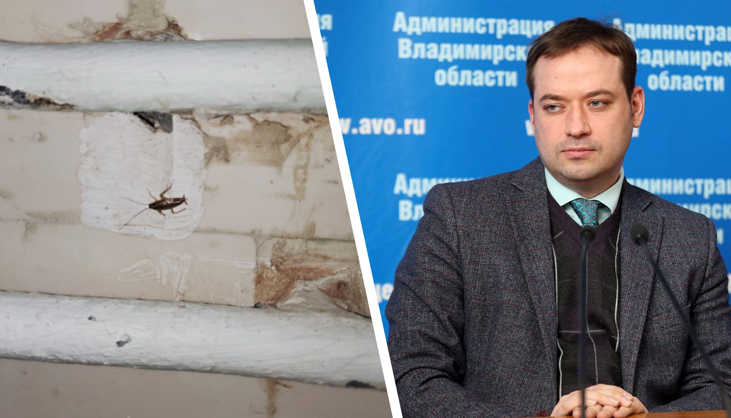  что сказали во владимирском Минздраве о нашествии тараканов в ОДКБ