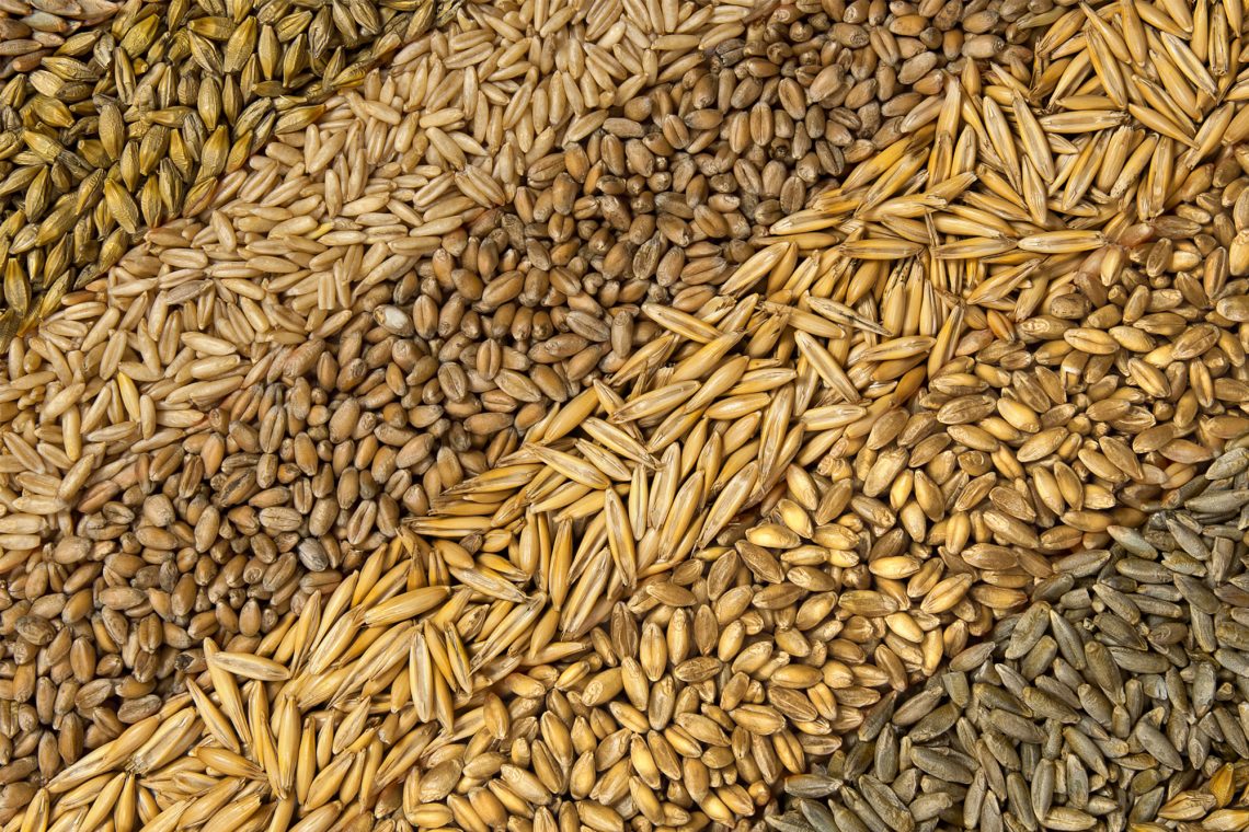Во Владимирской области что-то пошло не так с зерновой продукцией
