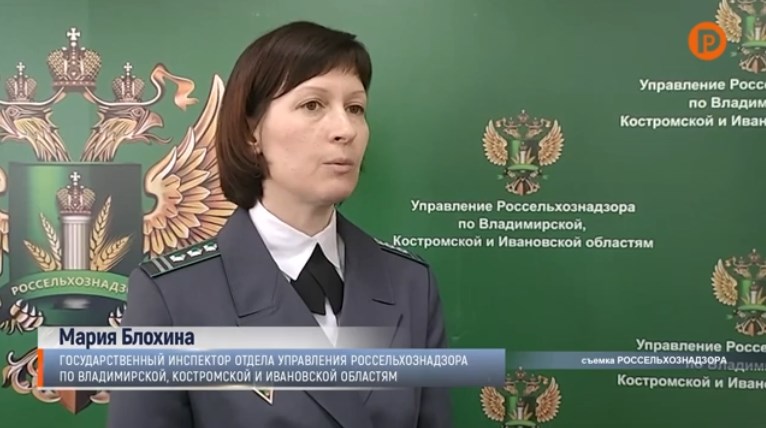 Владимирских огородников предупредили об опасных семенах петрушки