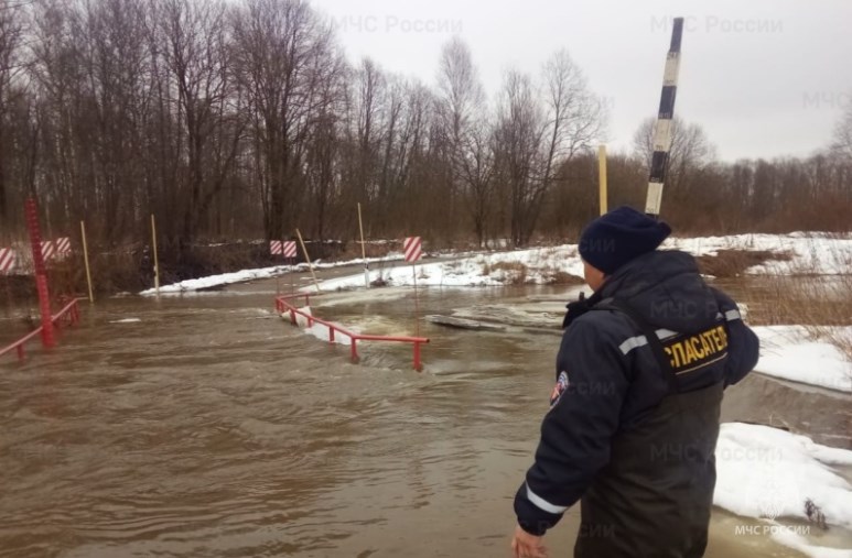 Во Владимирской области началось высокое половодье на Колокше