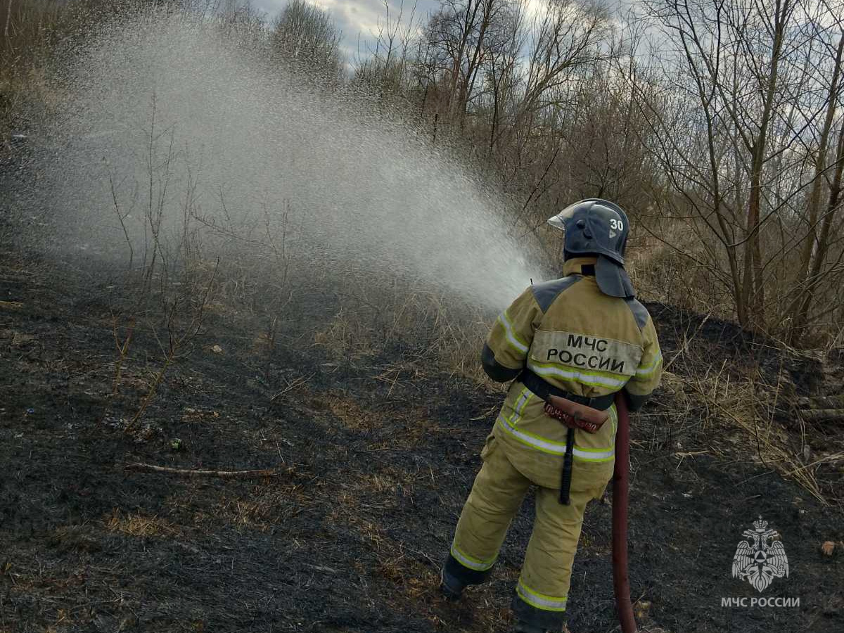 Даже в городах Владимирской области фиксируют палы сухой травы