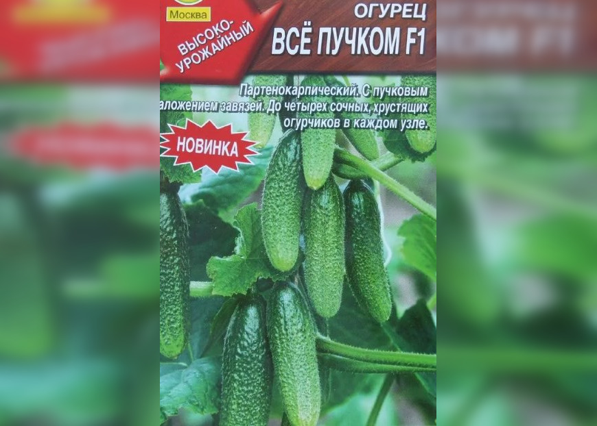 Россельхознадзор пресек продажу в Муроме и Меленках семян "Все пучком" и "Братец лис"