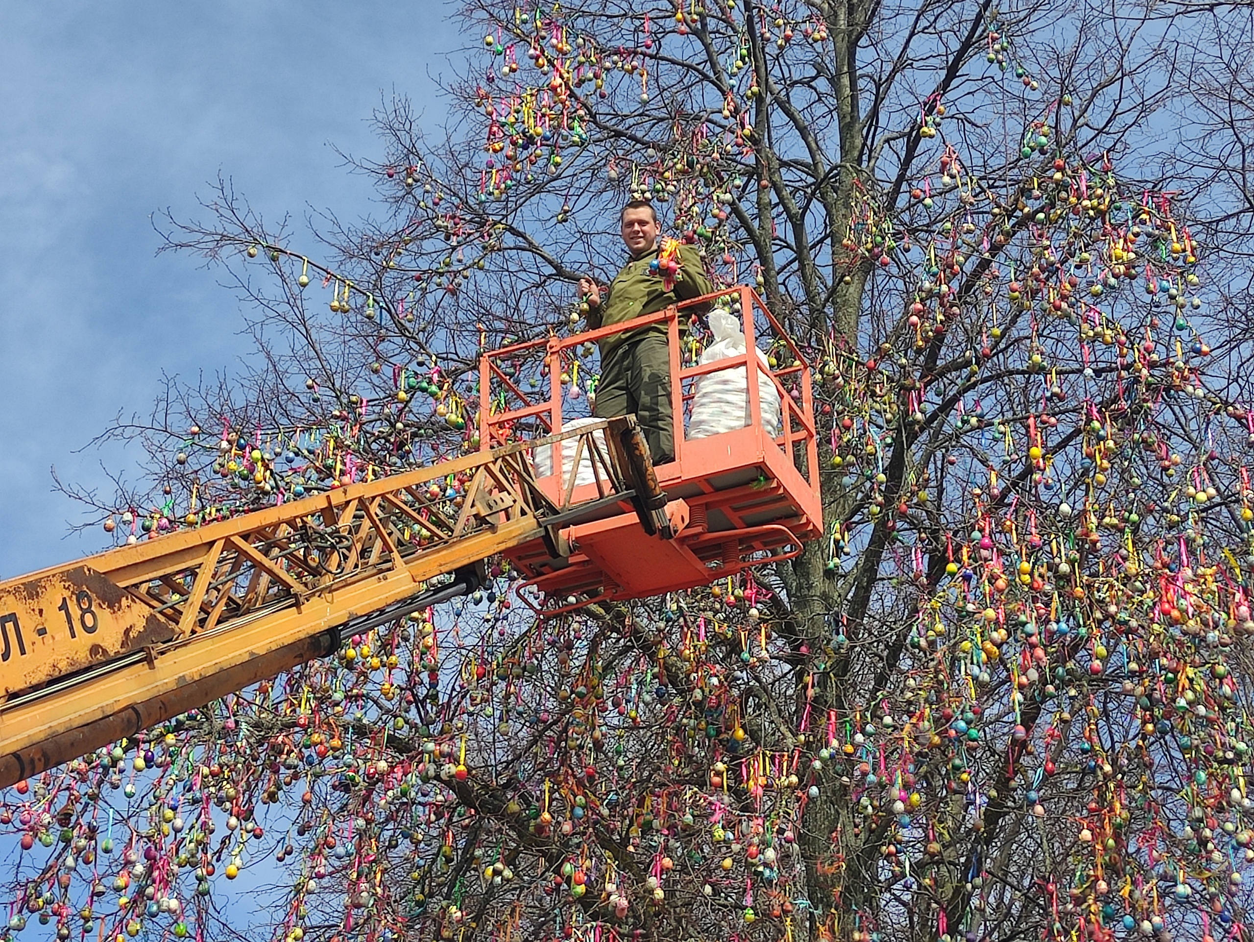 Во Владимире на пасхальном дереве теперь будет висеть 40 000 яиц