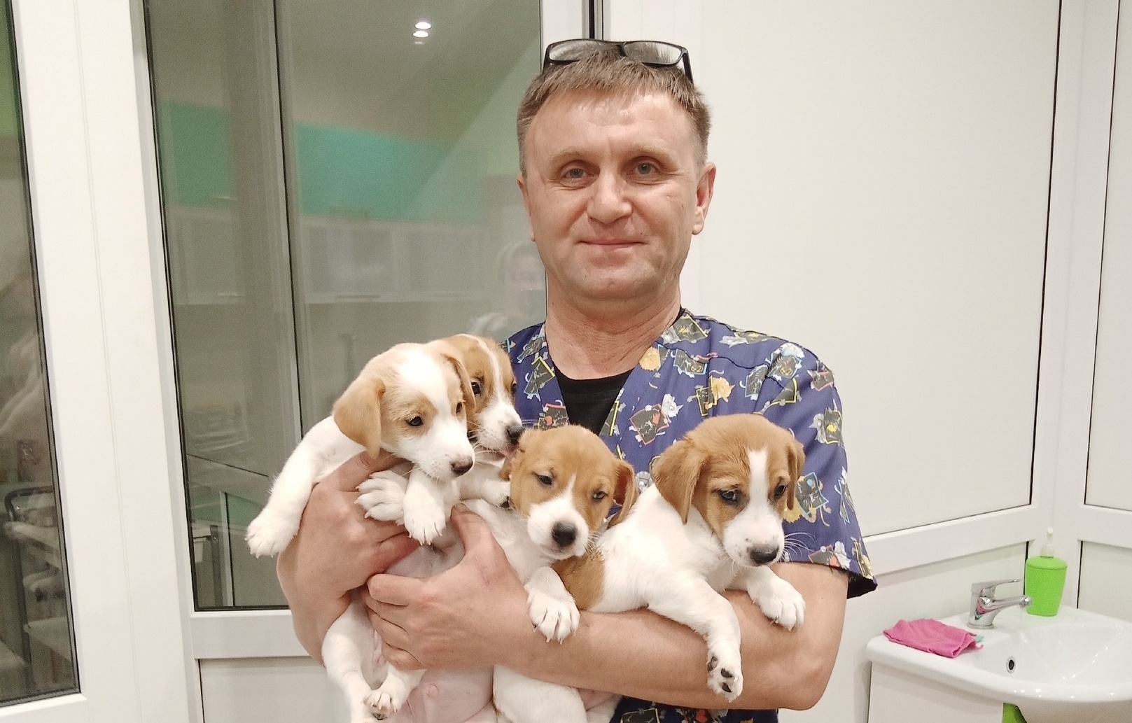  владимирский ветеринар об укусах клещей