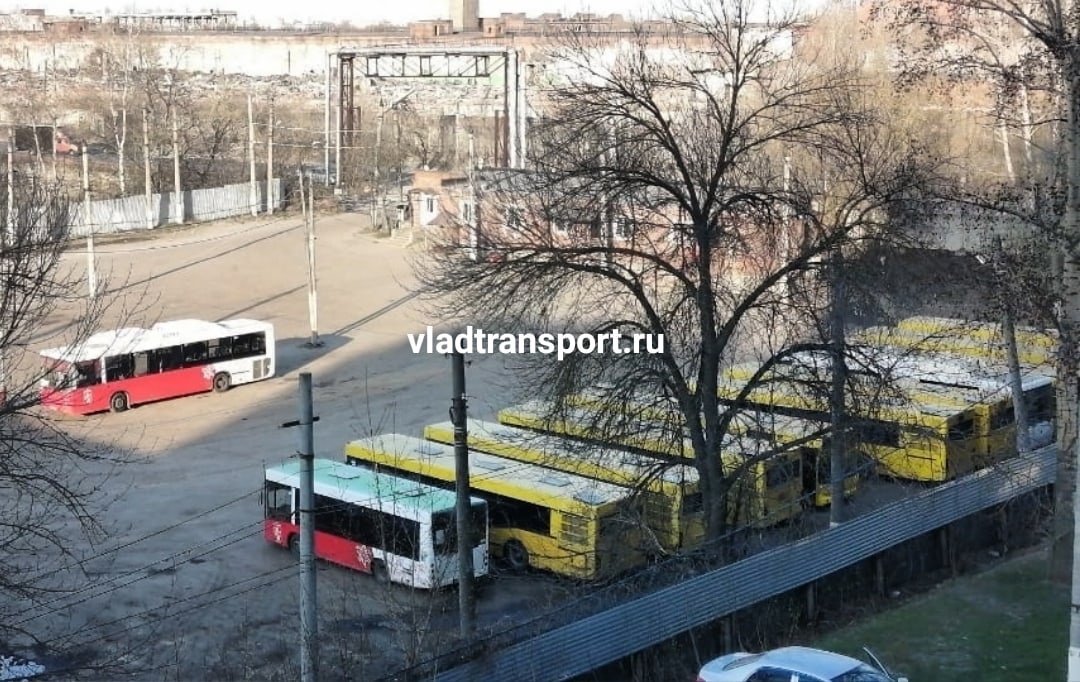 Во Владимире сменились собственники у одного из перевозчиков,уже пригнали 20 автобусов