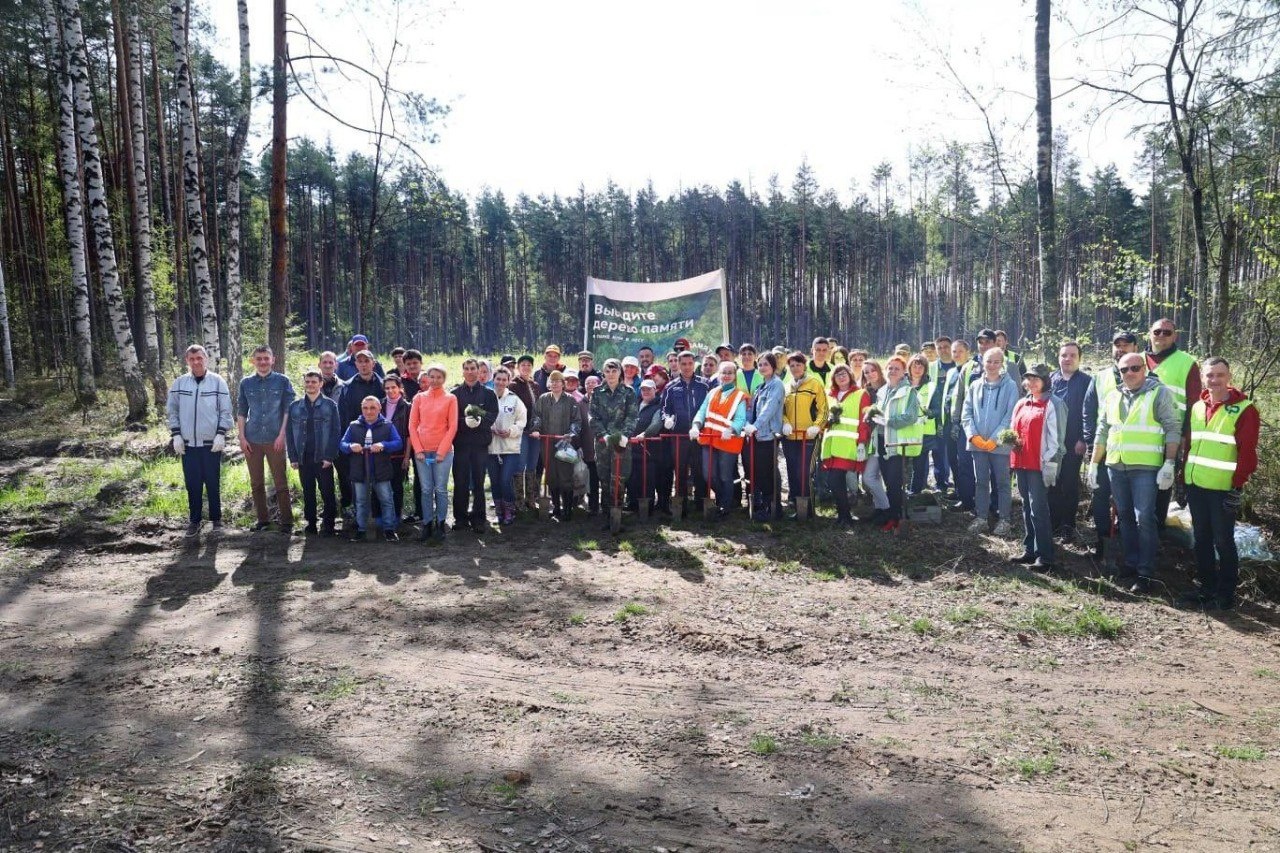 Жители Владимирской области высадили более 50 тысяч саженцев в рамках акции "Сад памяти"