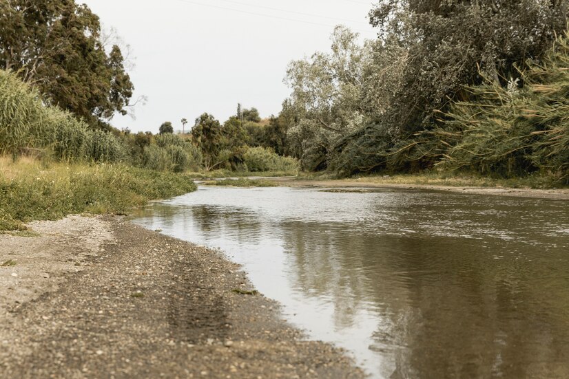 Во Владимирской области одну из рек загрязнили жидким навозом