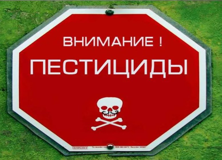 Серийные похитители ядохимикатов из Владимирской области отправятся в колонию