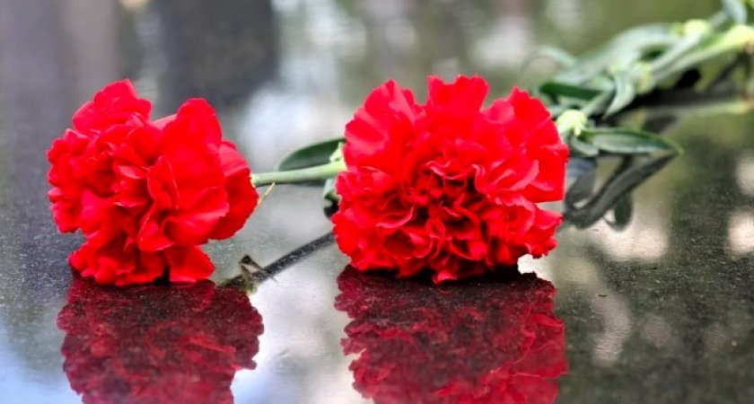 В Юрьев-Польском районе похоронили младшего сержанта, погибшего в ходе спецоперации