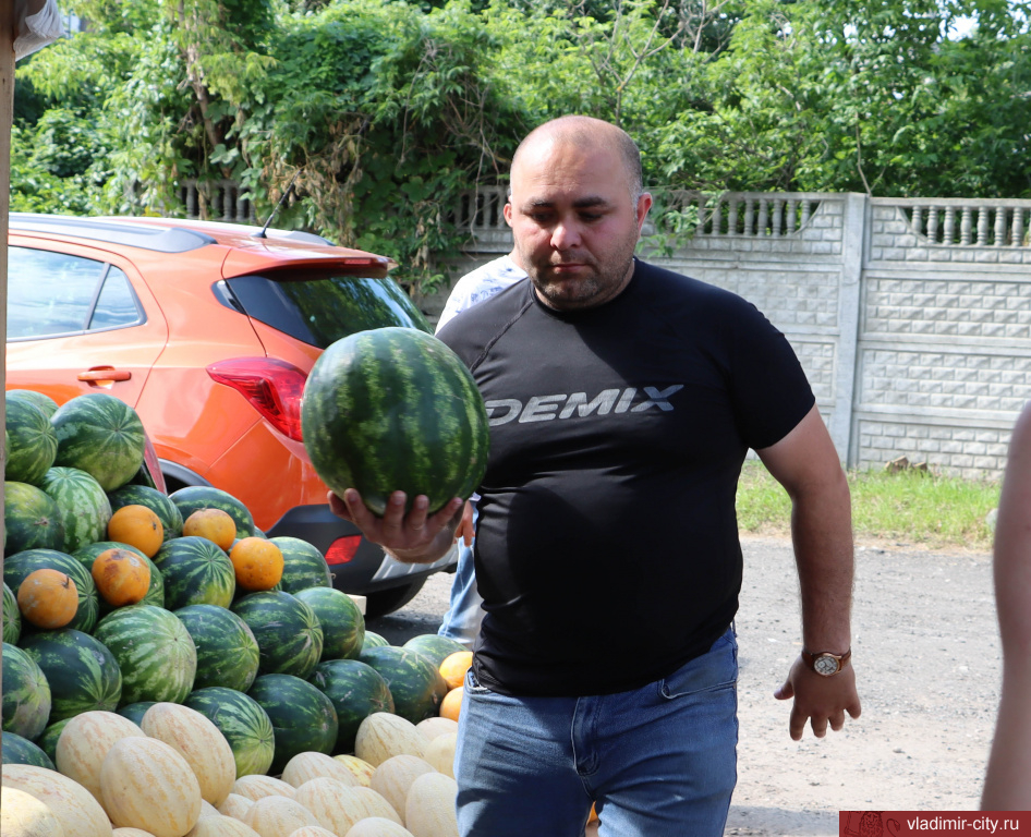 Во Владимире начала работать сезонная ярмарка сельскохозяйственной продукции на Батурина