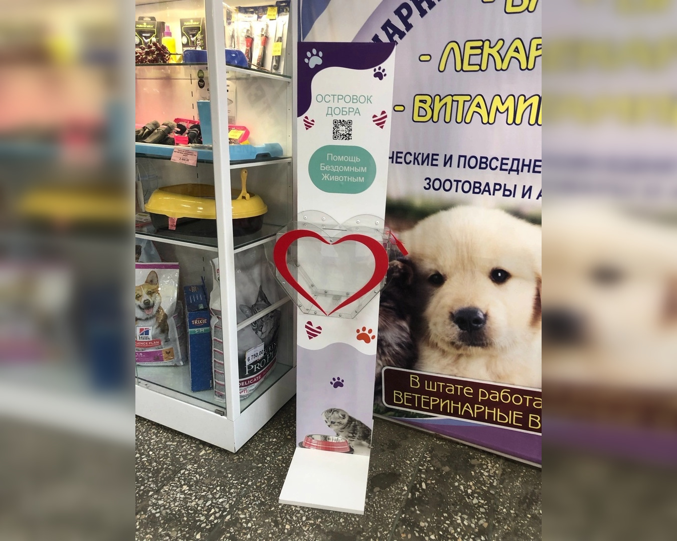 В Муроме разыскивают негодяев, укравших ящик для сбора благотворительной помощи