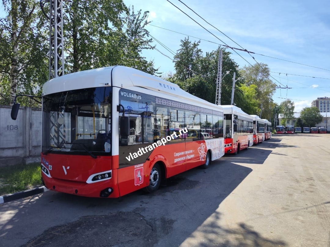 Во Владимир прибыла первая партия мини-Волгабасов - Новости города Владимир