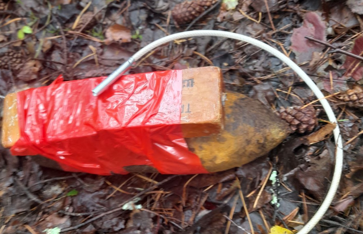 Во Владимирской области обезвредили артиллерийский снаряд