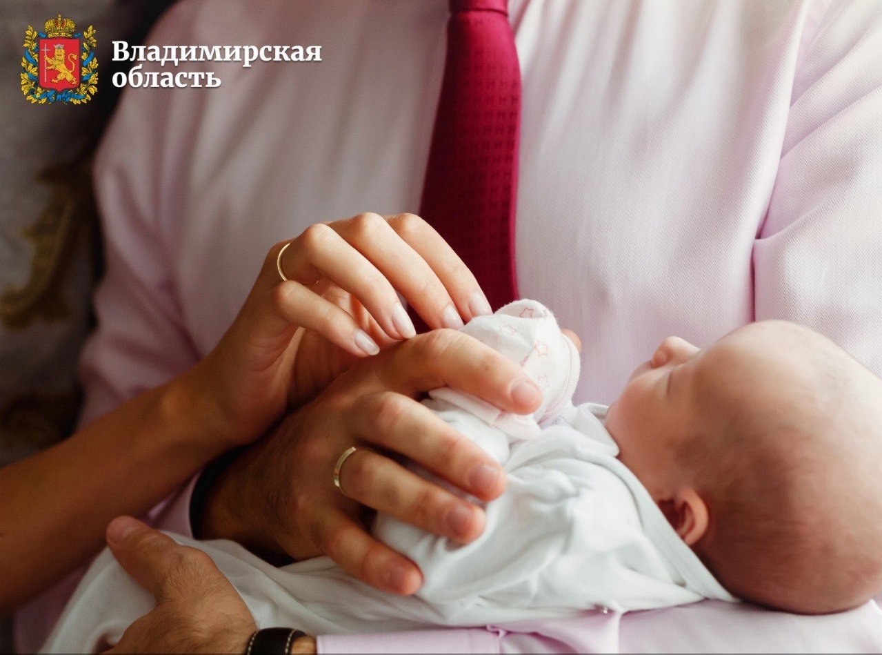 В июле во Владимирской области родились почти 800 малышей
