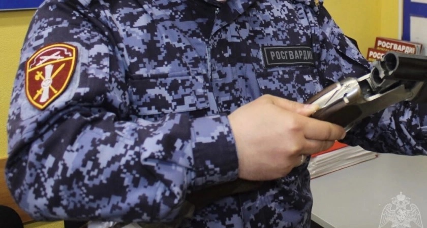Во Владимире росгвардейцы за неделю получили 156 "тревожных сигналов" из местных общепитов