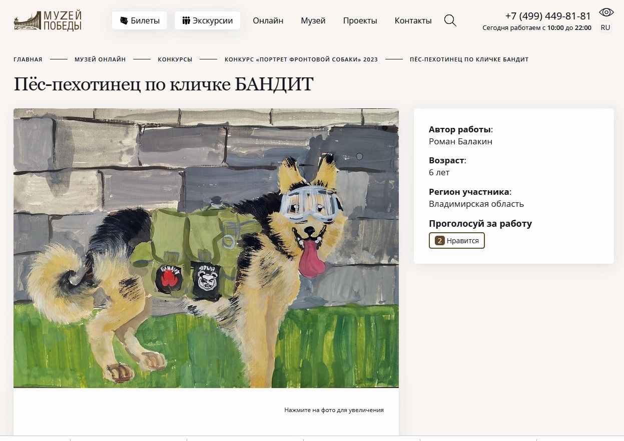 Жителям Владимирской области предлагают проголосовать за детские портреты фронтовой собаки