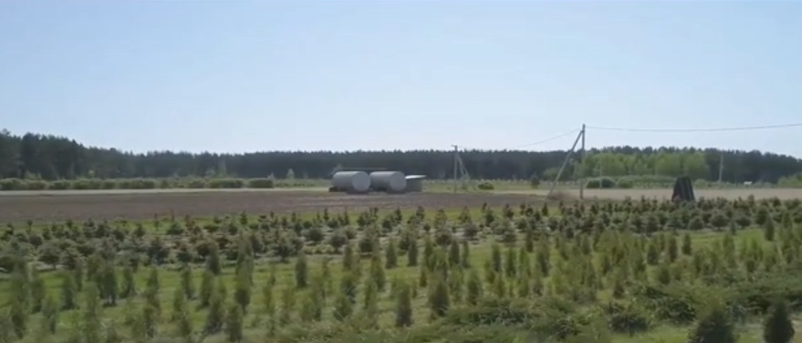 Во Владимирской области крупный питомник оштрафовали за пестициды