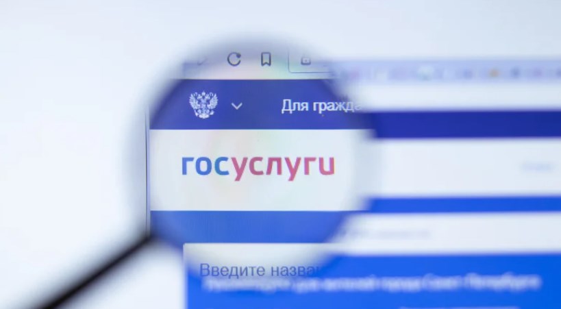 Владимирцы заметили на Госуслугах сведения о себе, которые не вносили