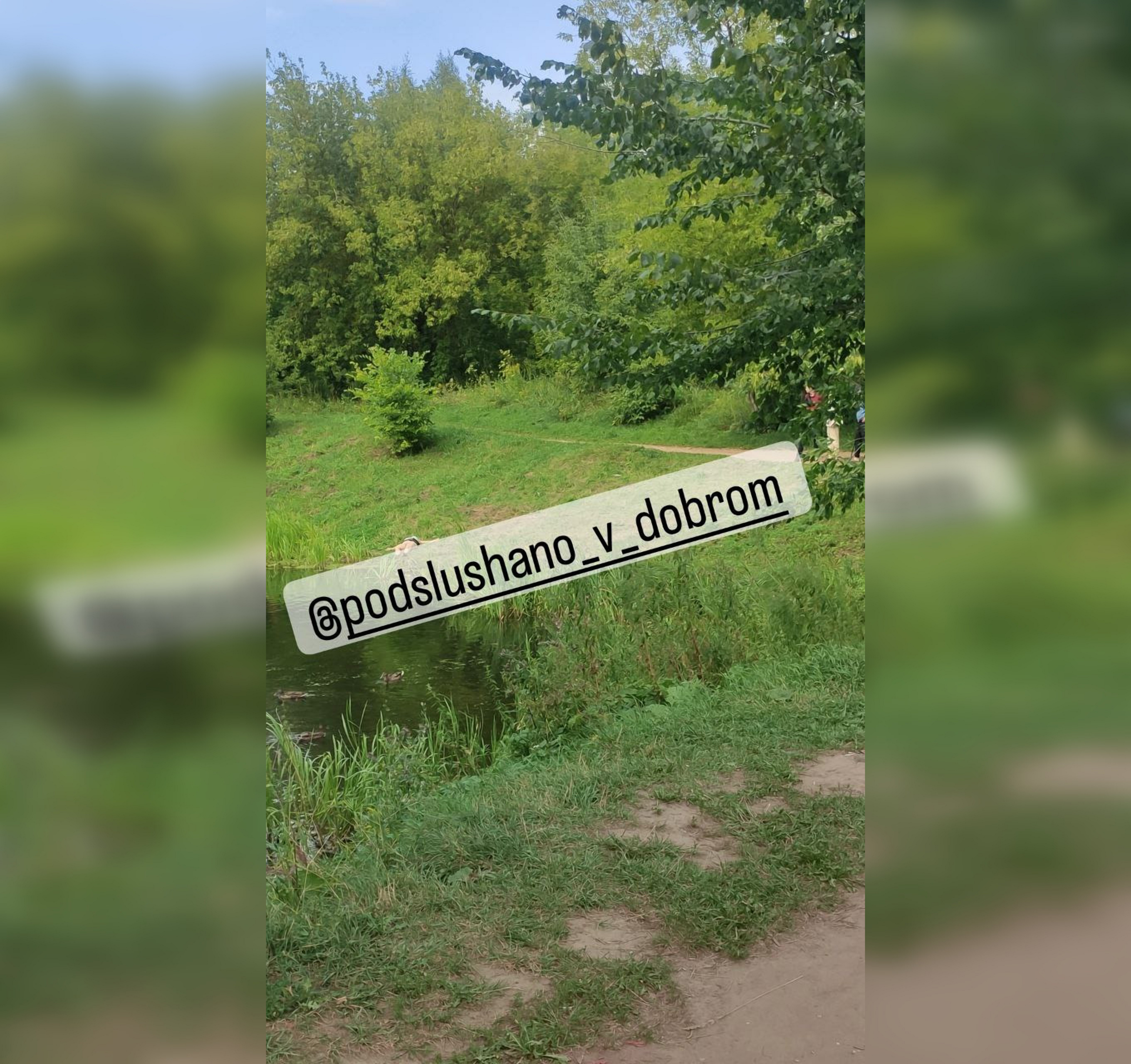 В Следкоме рассказали об утонувшей в Добросельском пруду женщине