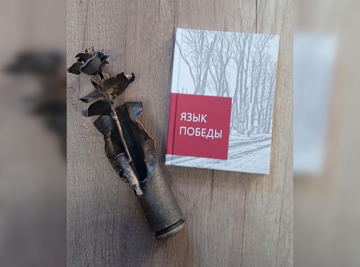Во Владимире выпустили сборник стихов о СВО