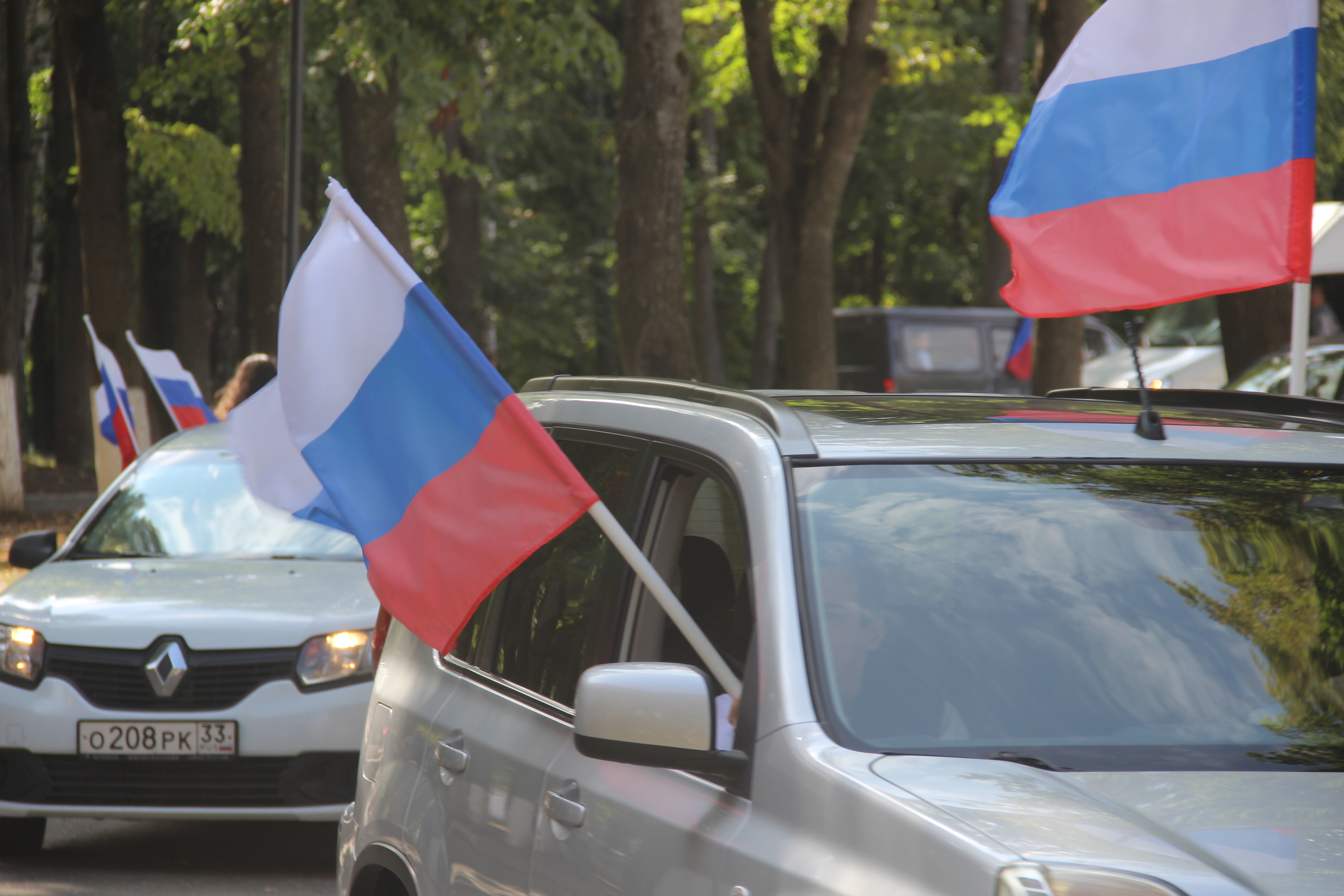 В День Государственного Флага общественные организации провели митинг-концерт во Владимире